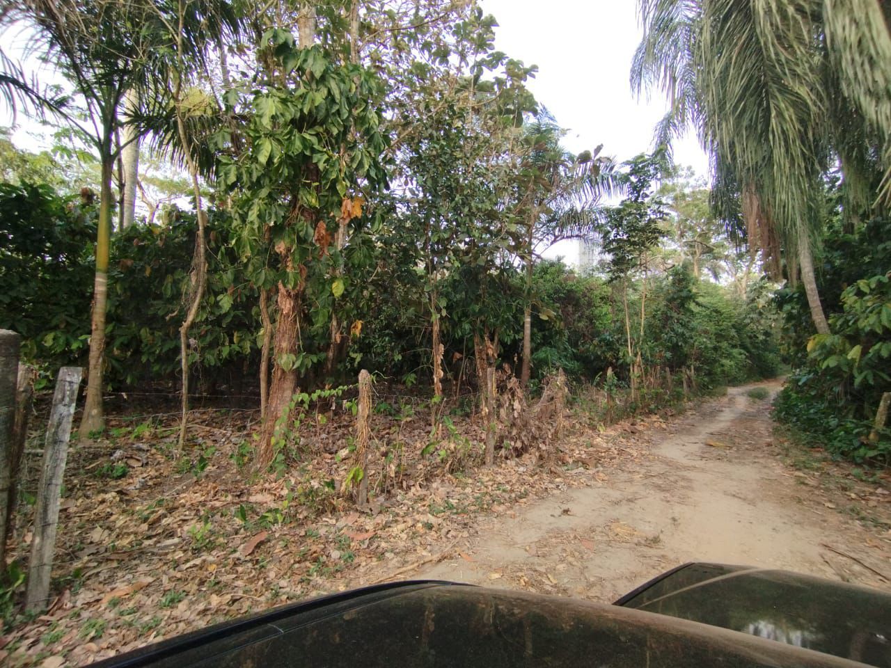 Terreno en Venta en Moctezuma 2da. Sección
