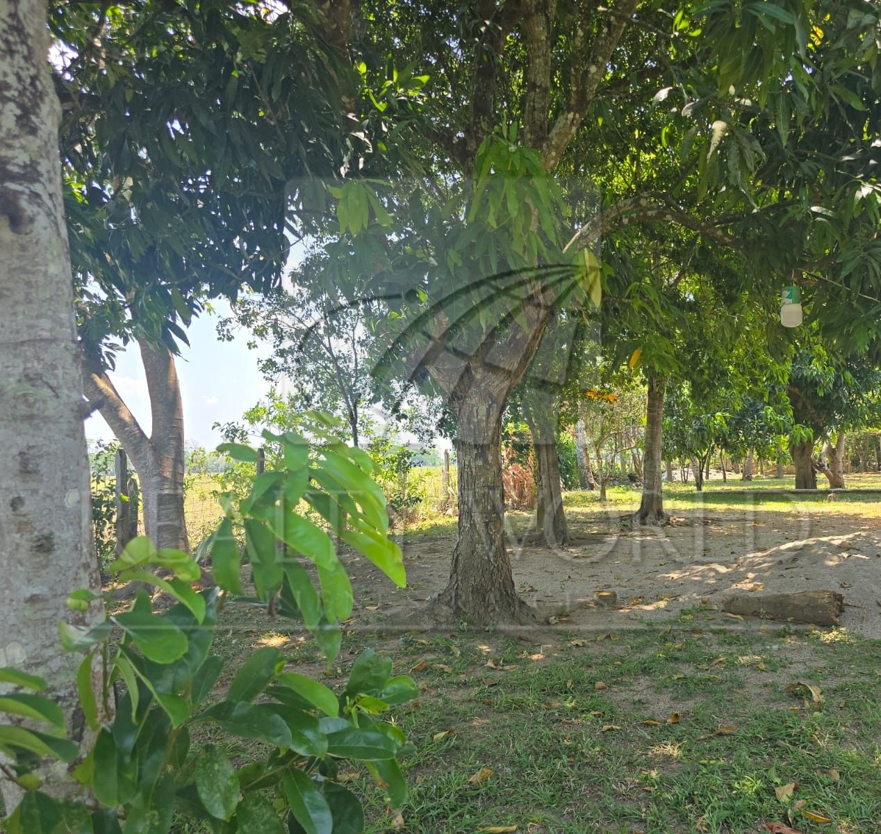 Terreno en Venta en Sargento López 3ra. Sección (San Jorge)