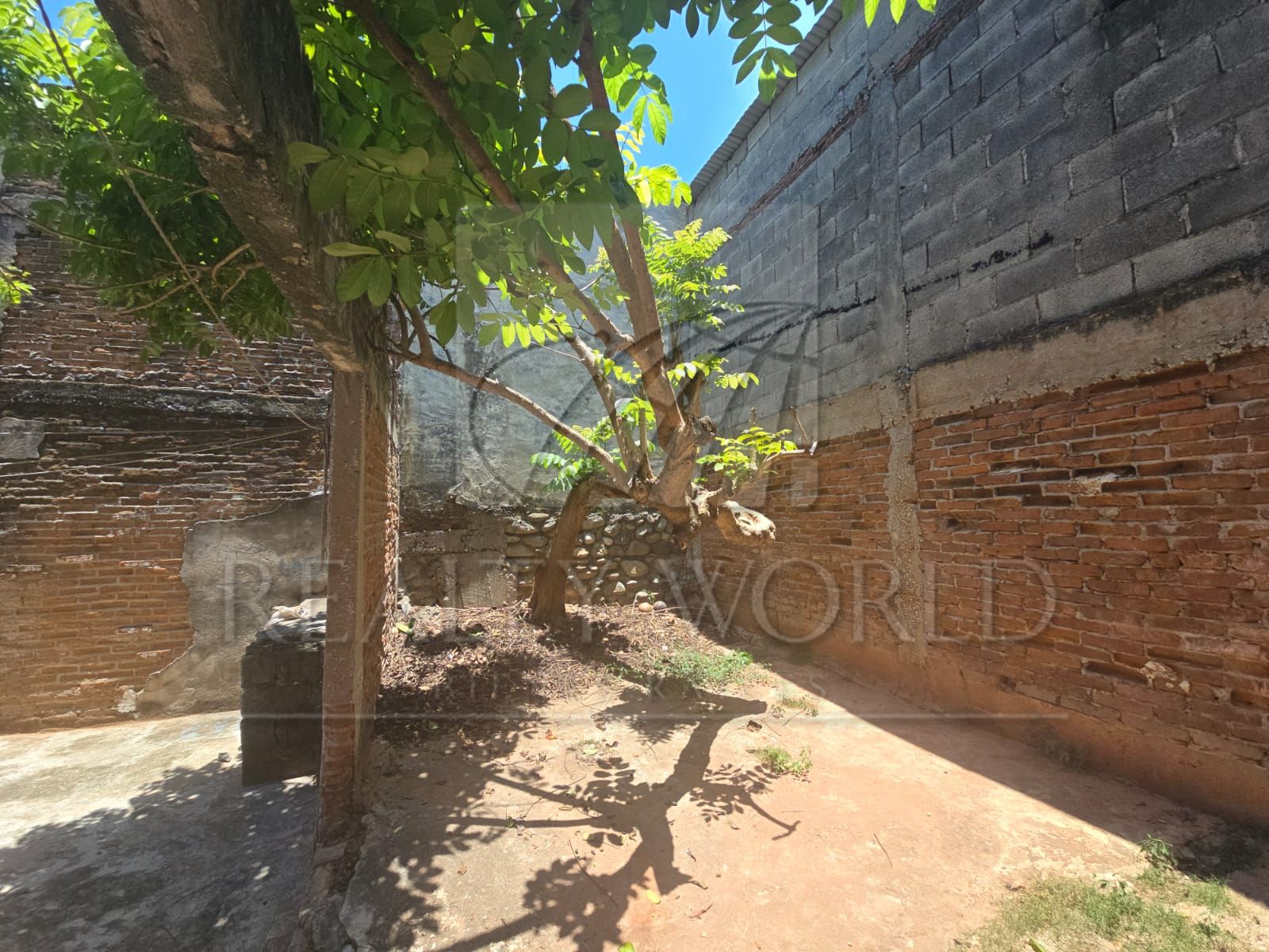 Terreno en Venta en Avenida Cesar Sandino