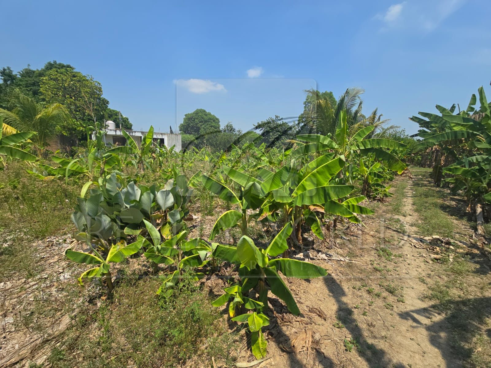 Terreno en Venta en Boquerón 2a Sección (El Barquillo)