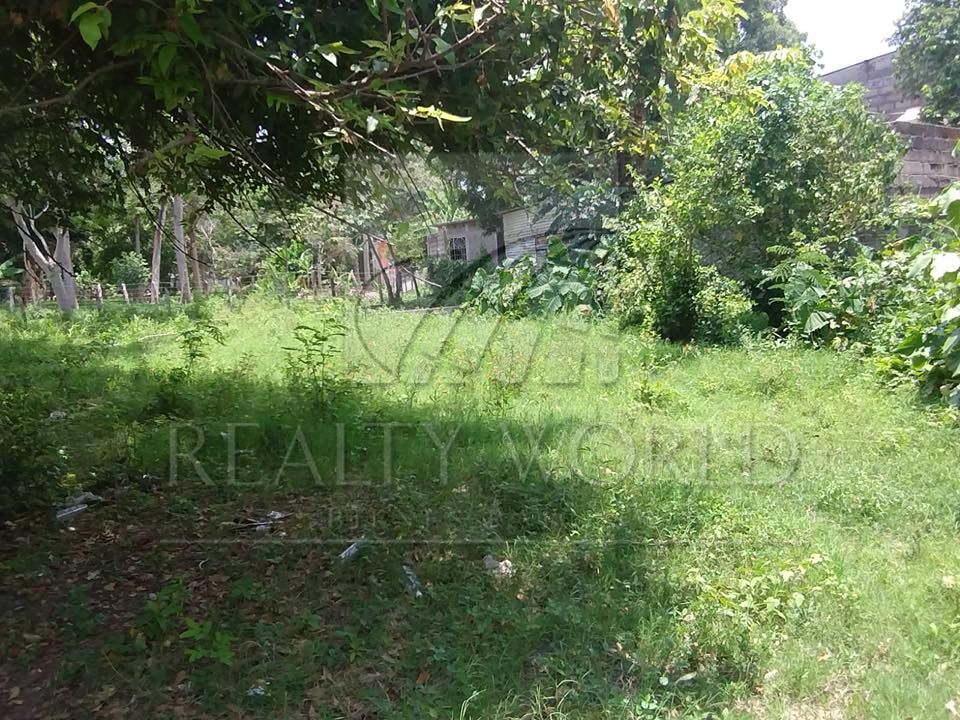 Terreno en Venta en El Cedro