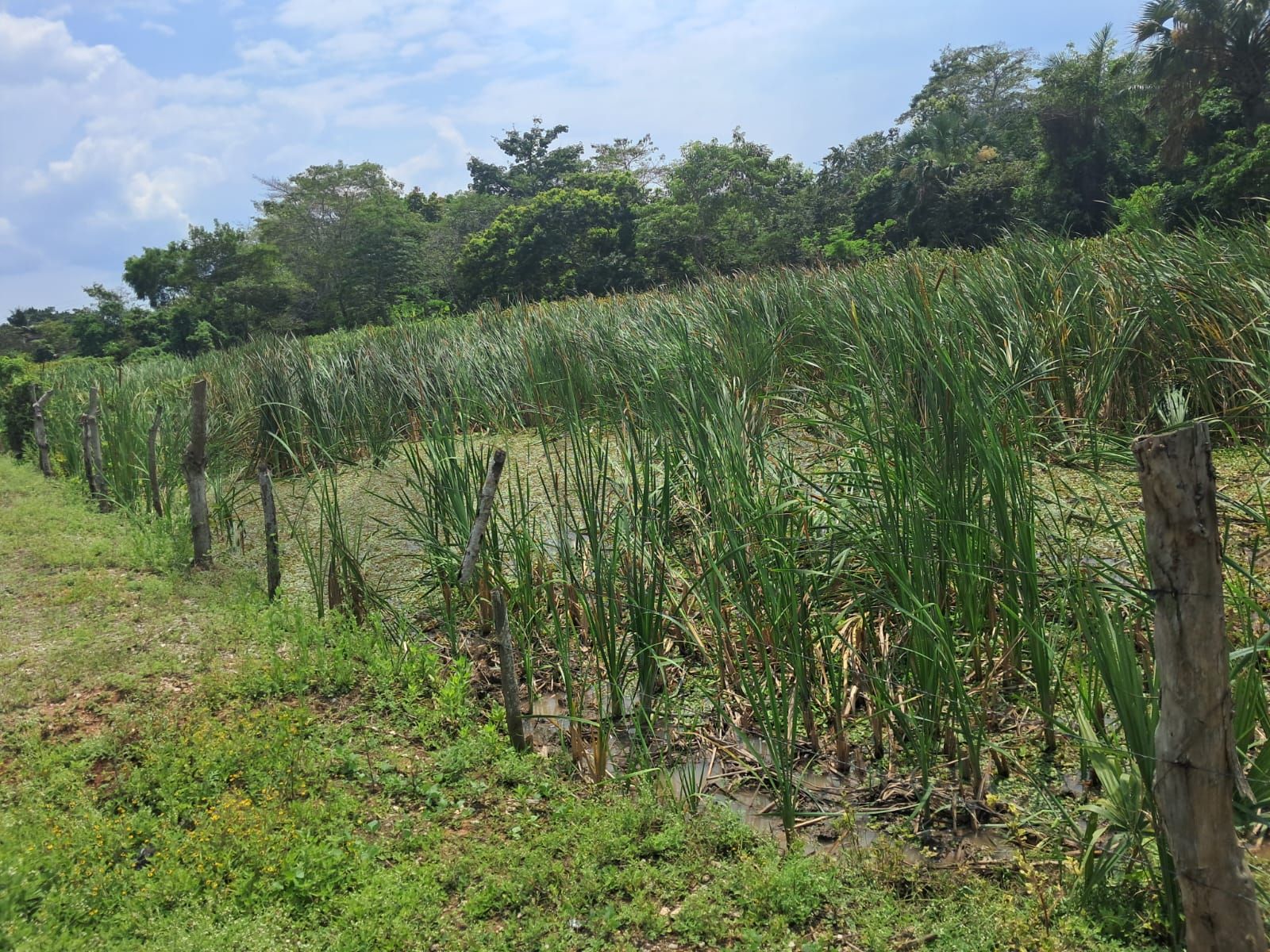 Terreno en Venta en Anacleto Canabal 2da. Sección