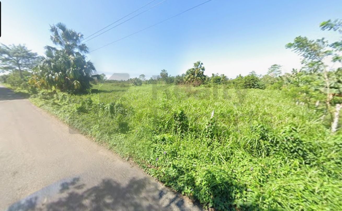 Terreno en Venta en Plátano y Cacao 3a Secc