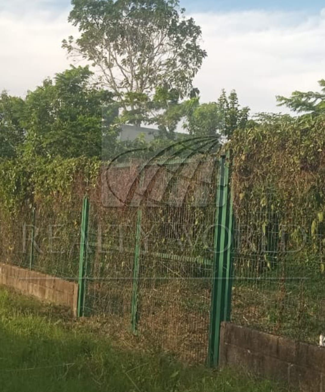 Terreno en Venta en El Cedro