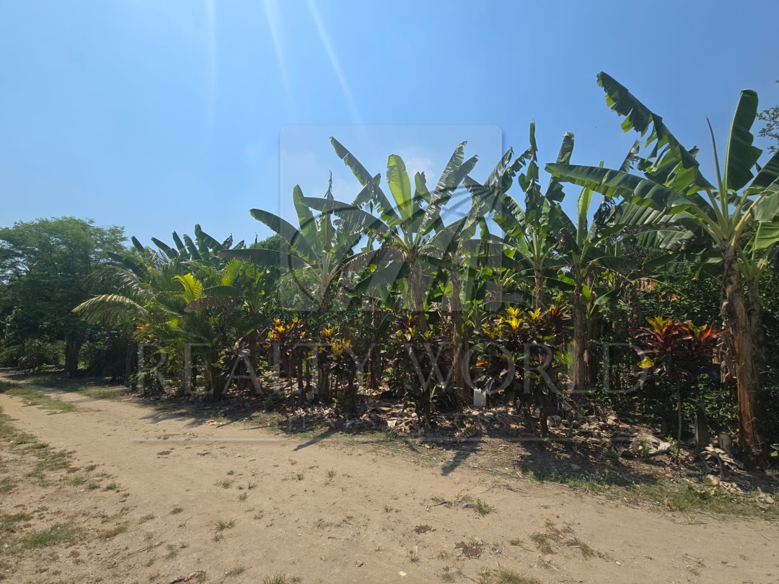 Terreno en Venta en Luis Gil Pérez