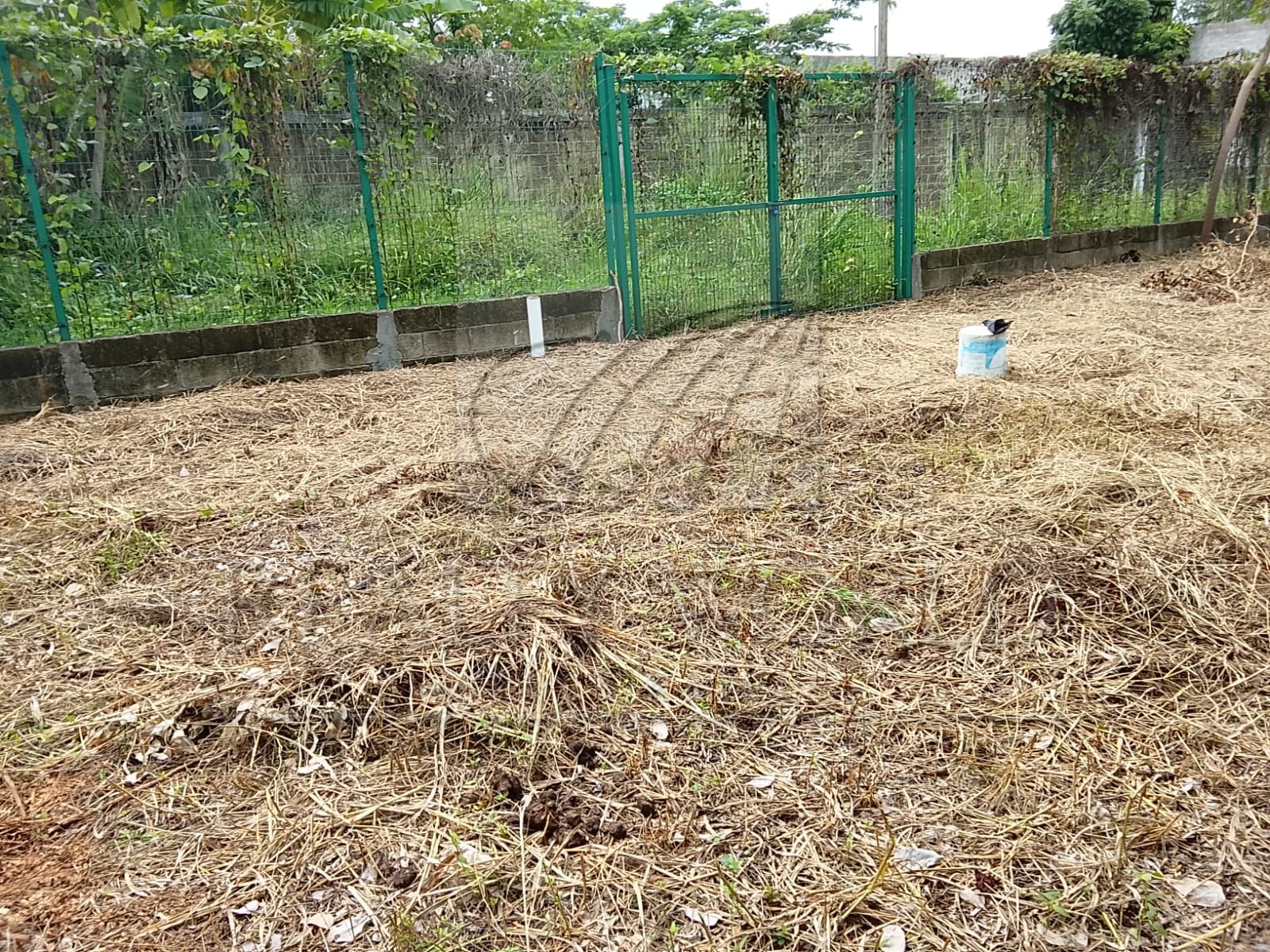 Terreno en Venta en El Cedro