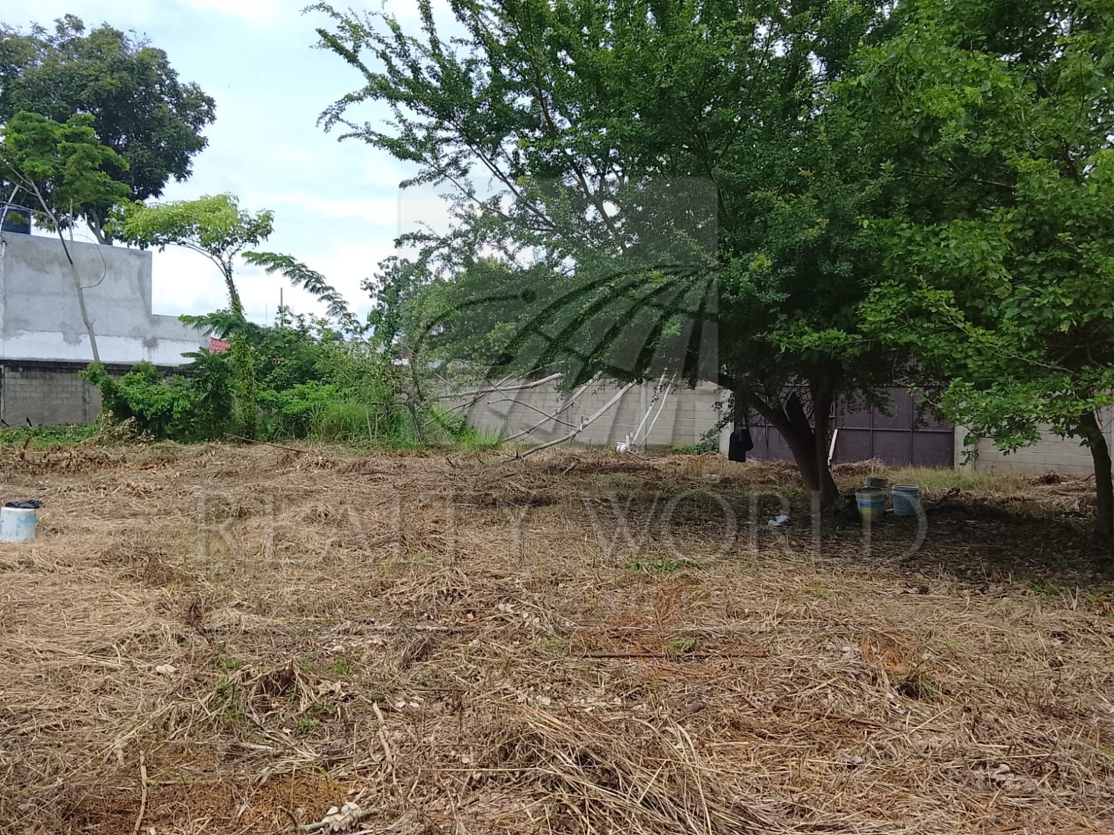 Terreno en Venta en El Cedro