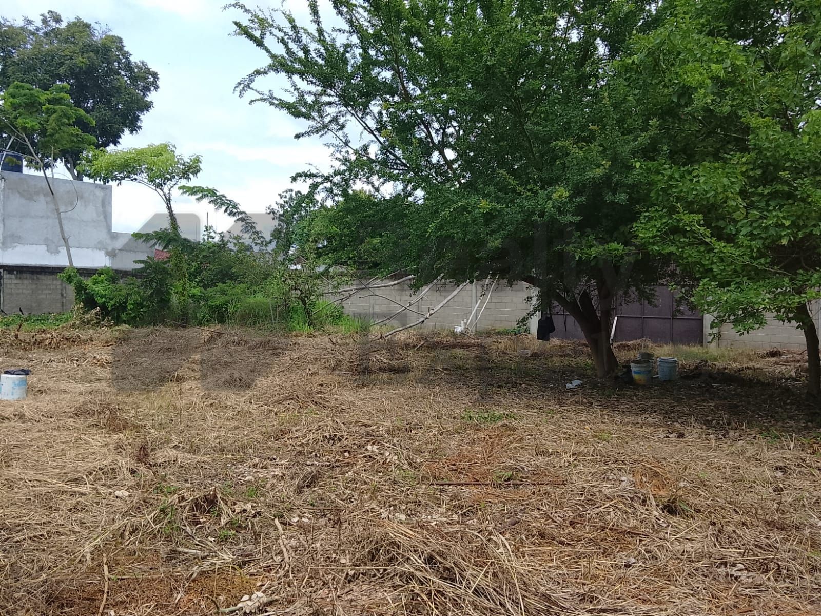 Terreno en Venta en El Cedro