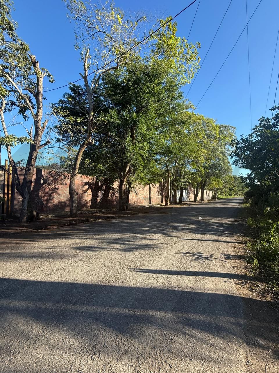 Terreno en Venta en Dos Montes