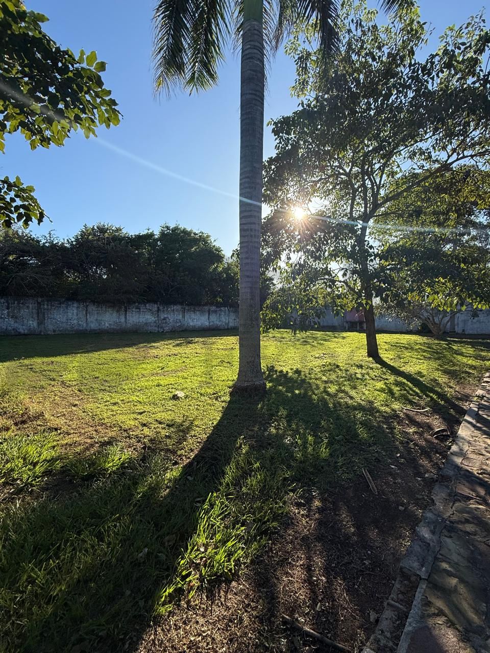 Terreno en Venta en Dos Montes