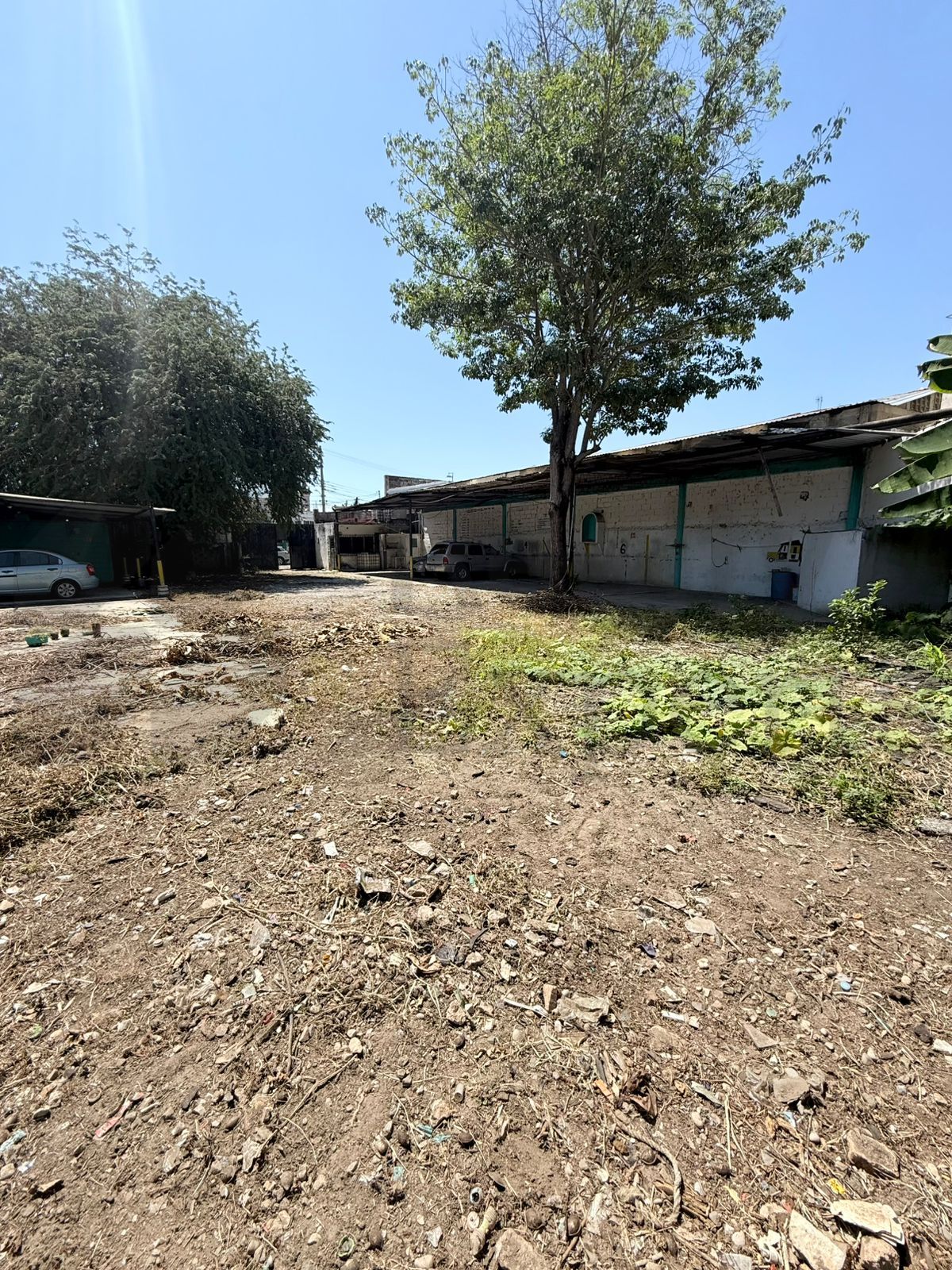 Terreno en Renta en El Espejo 1