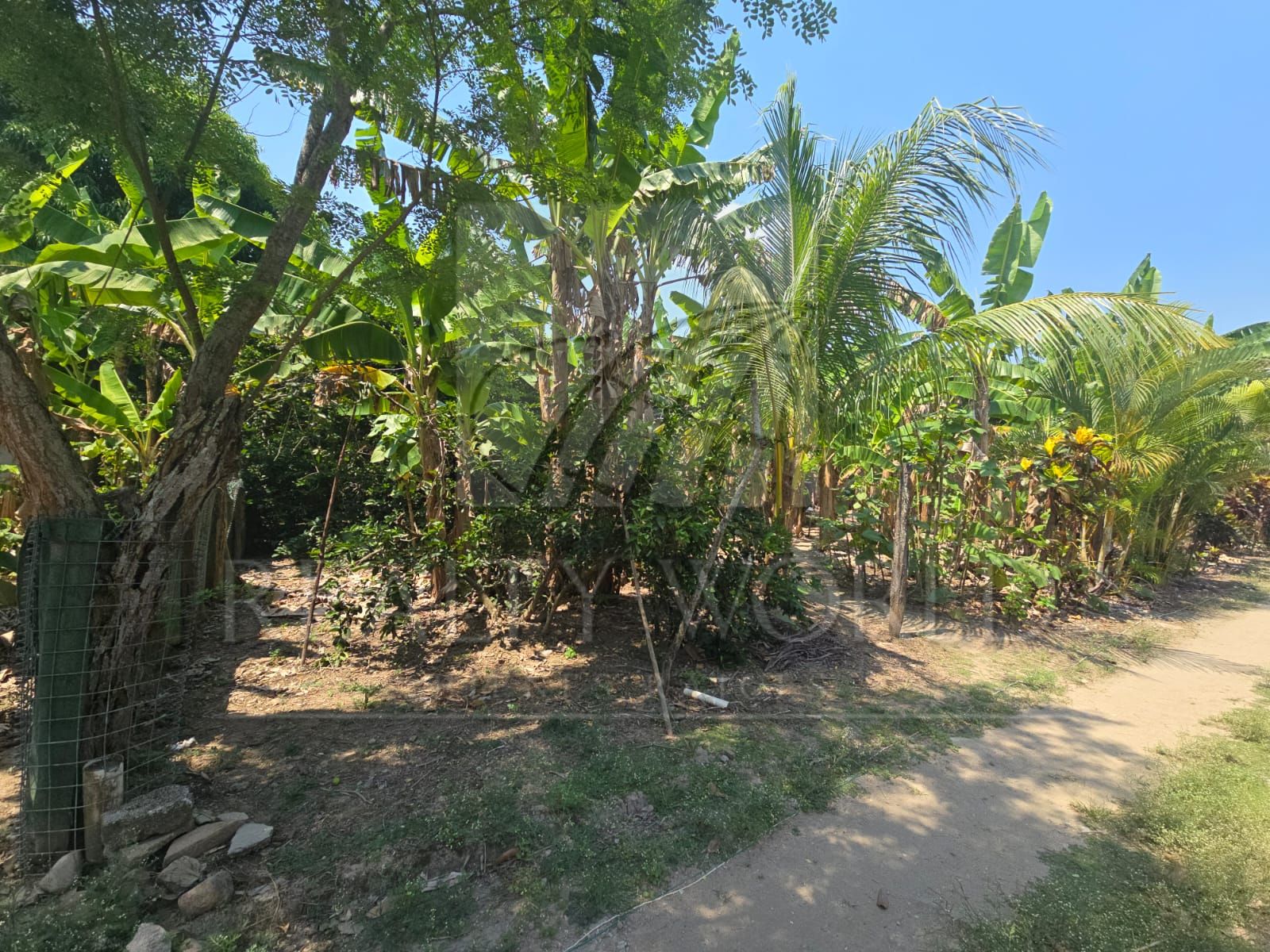 Terreno en Venta en Luis Gil Pérez