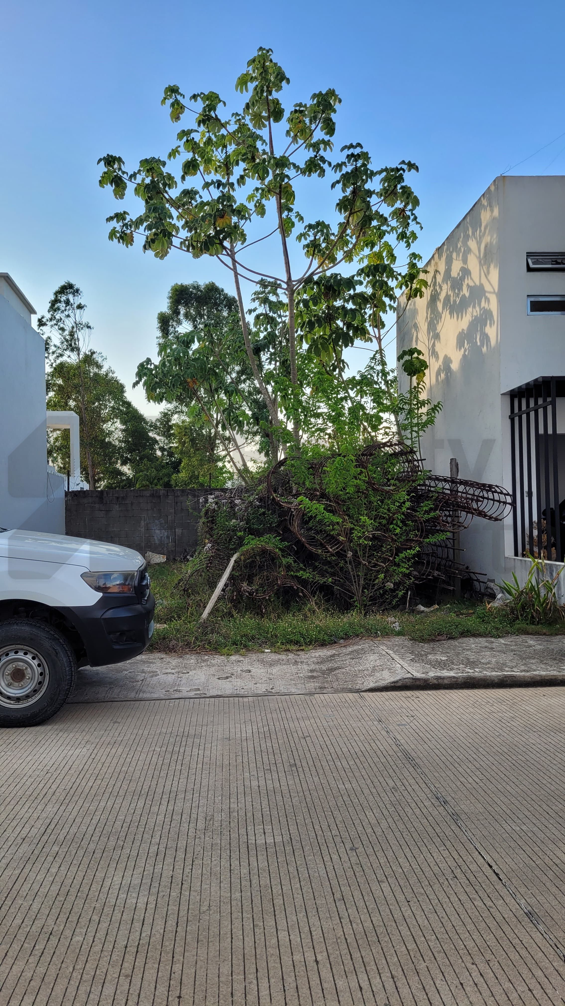 Terreno en Venta en Real Campestre