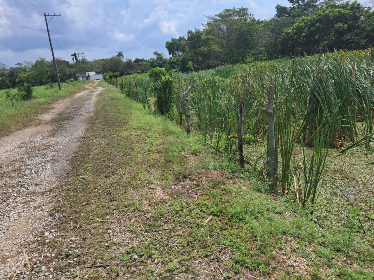 Terreno en Venta en Anacleto Canabal 2da. Sección