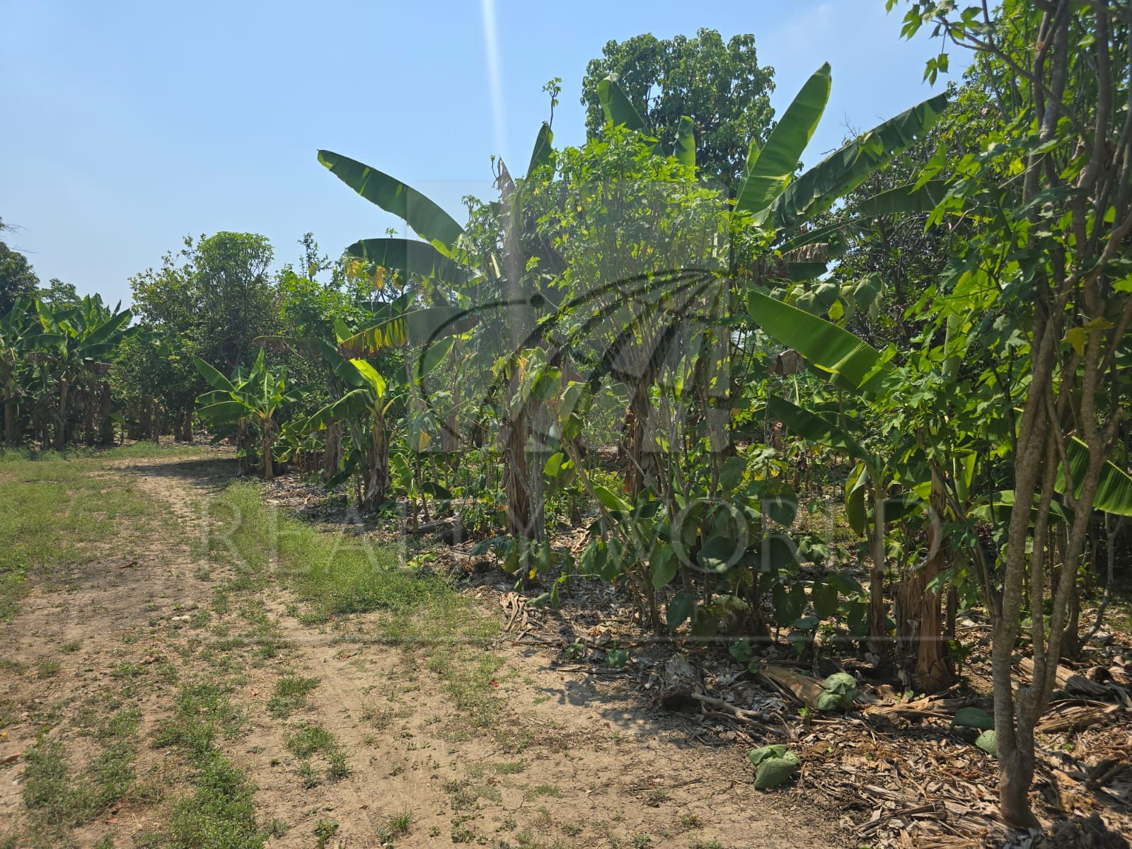 Terreno en Venta en Boquerón 2a Sección (El Barquillo)
