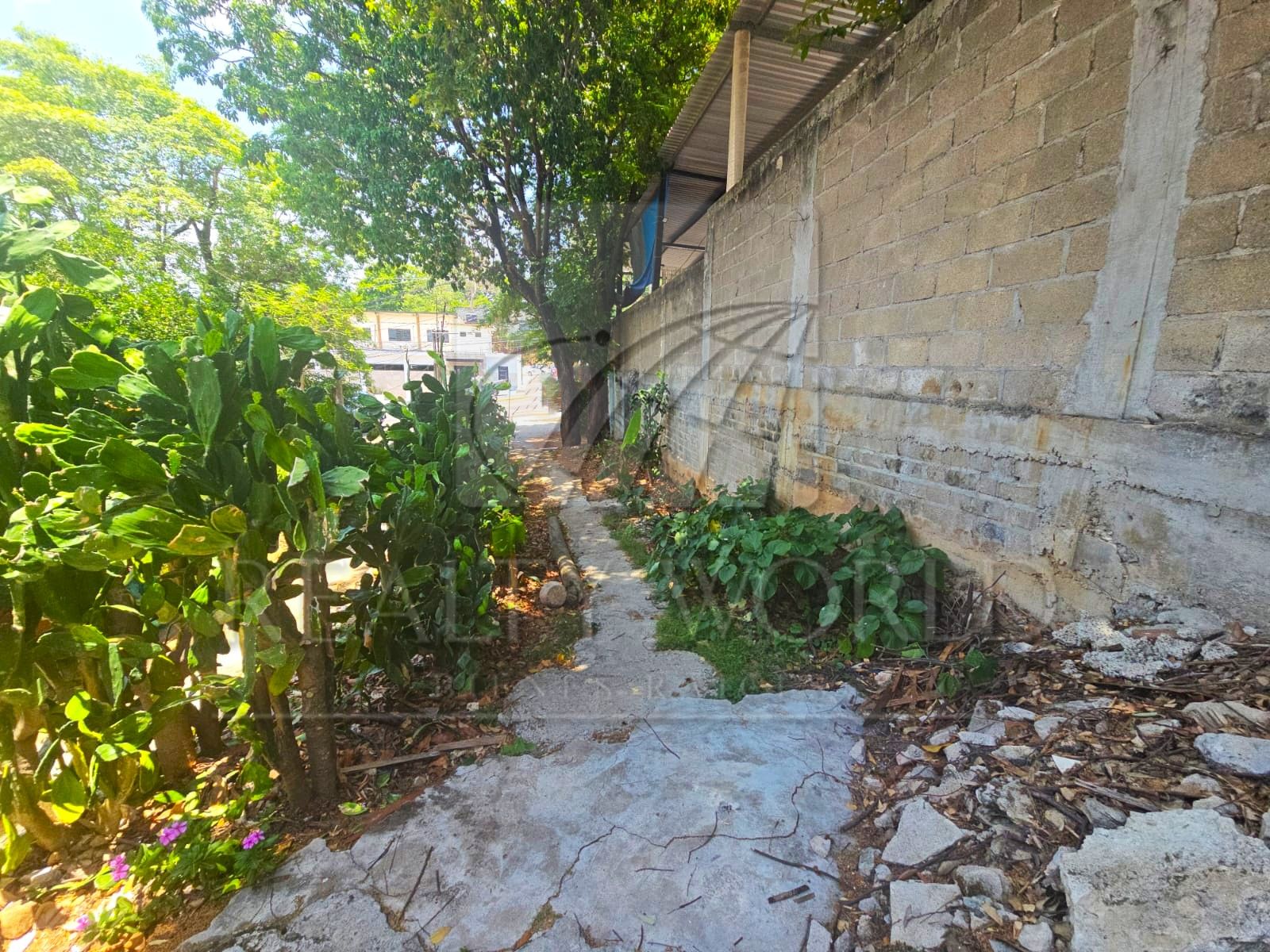 Terreno en Venta en Avenida Cesar Sandino