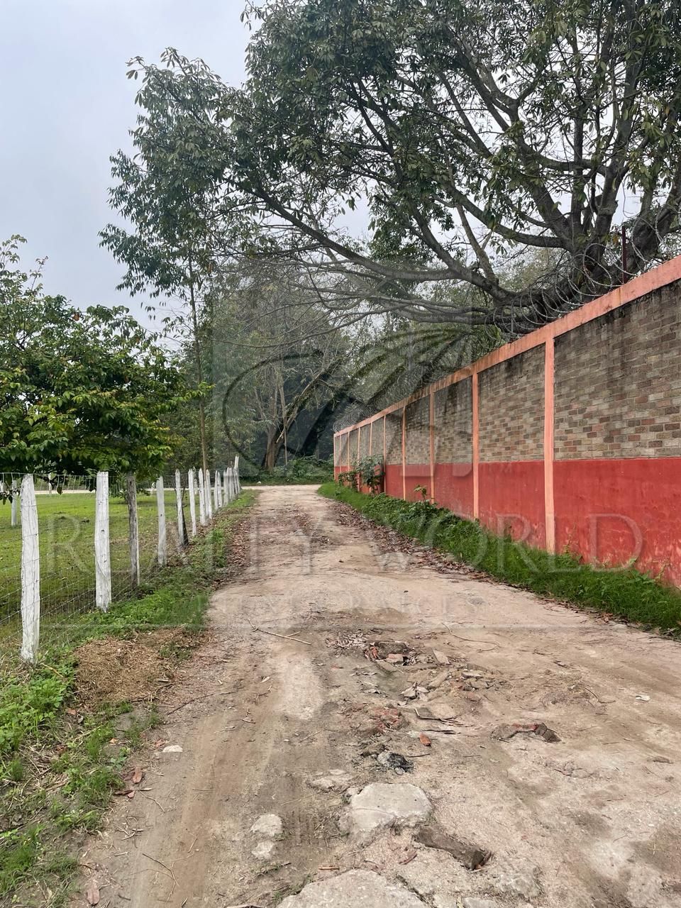 Terreno en Venta en Plátano y Cacao 4ta. Sección