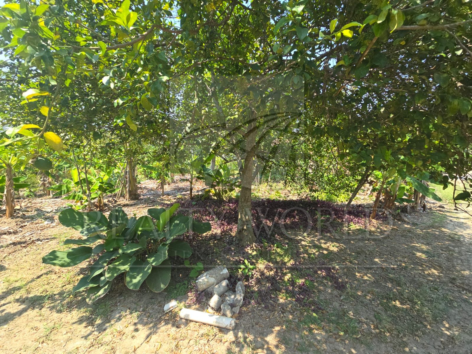 Terreno en Venta en Boquerón 2a Sección (El Barquillo)