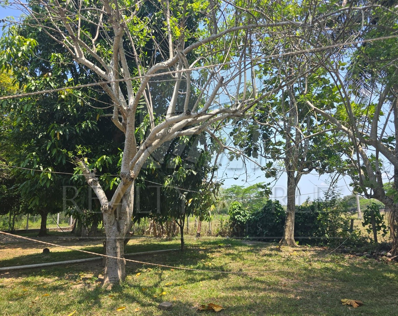 Terreno en Venta en Sargento López 3ra. Sección (San Jorge)