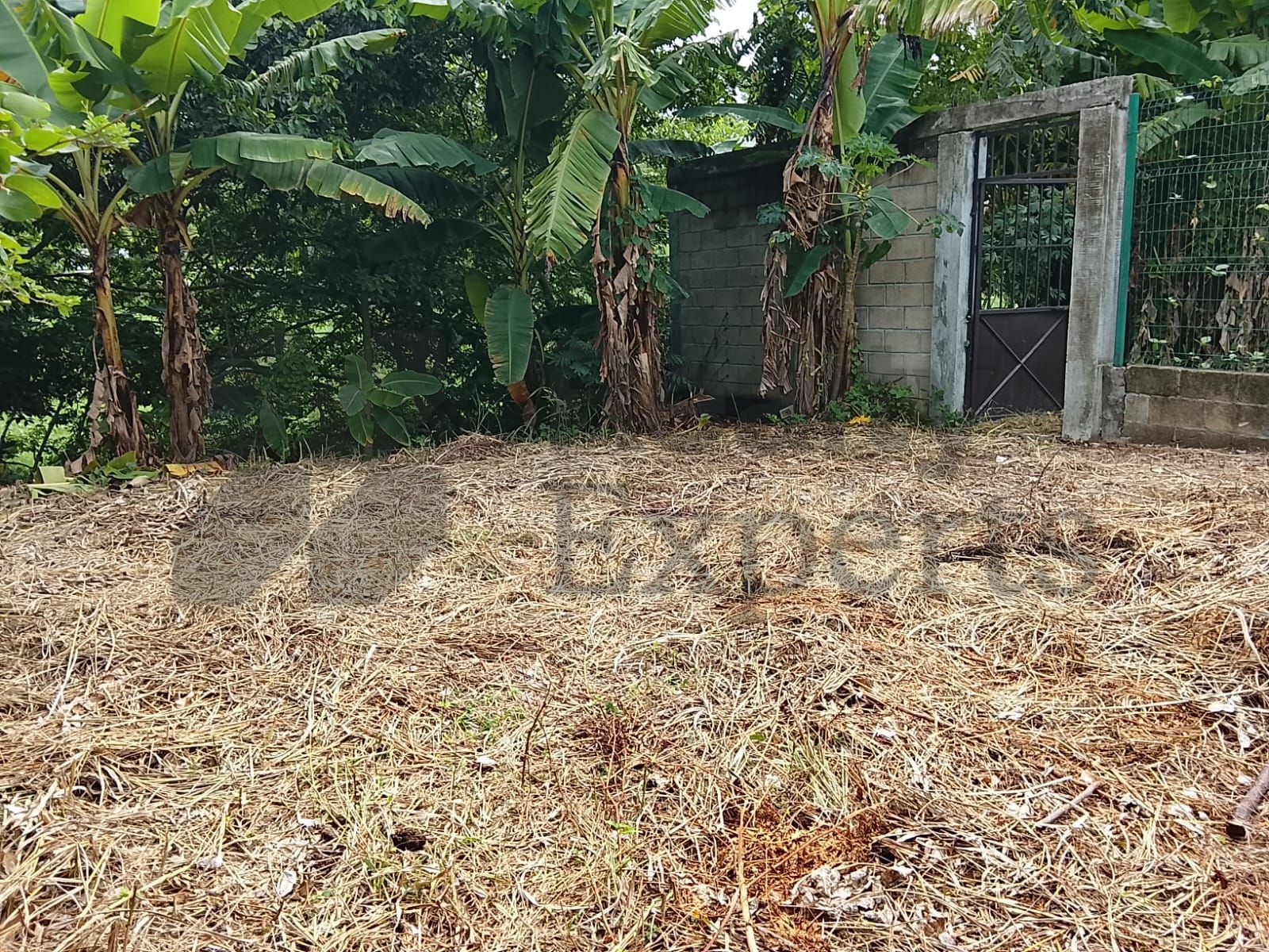 Terreno en Venta en El Cedro
