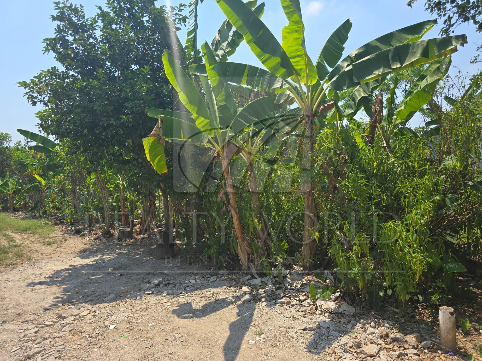 Terreno en Venta en Luis Gil Pérez