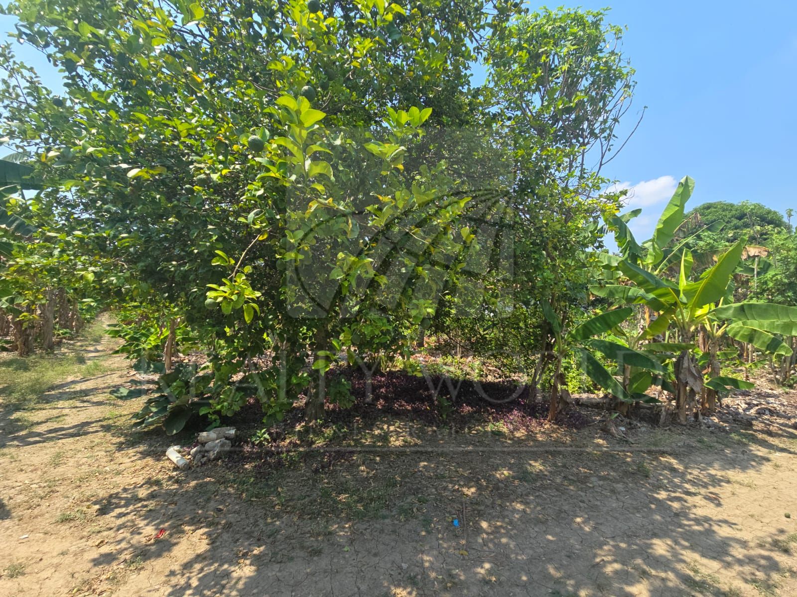 Terreno en Venta en Boquerón 2a Sección (El Barquillo)