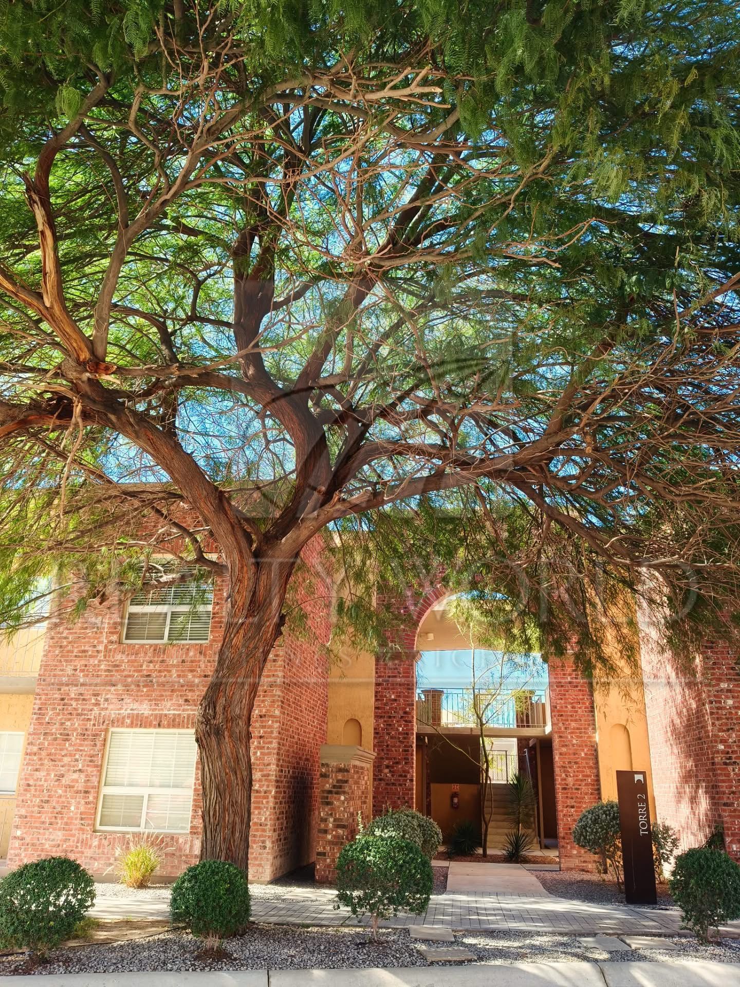 Departamento en Renta en Villa Serena