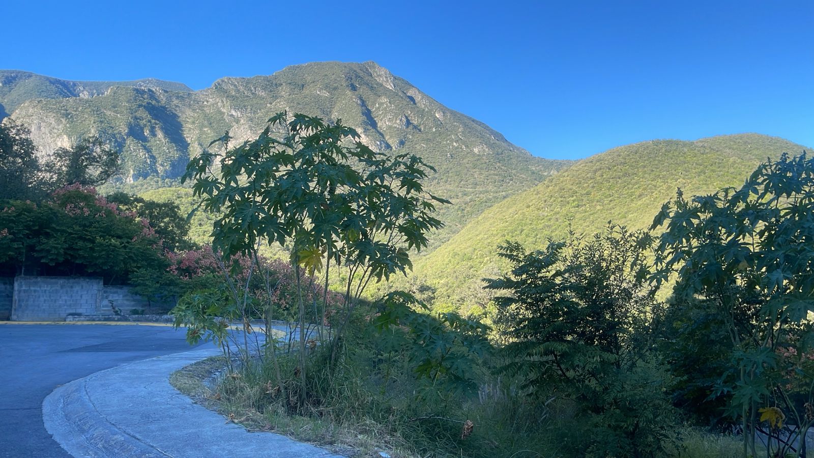 Terreno en Venta en 9o sector