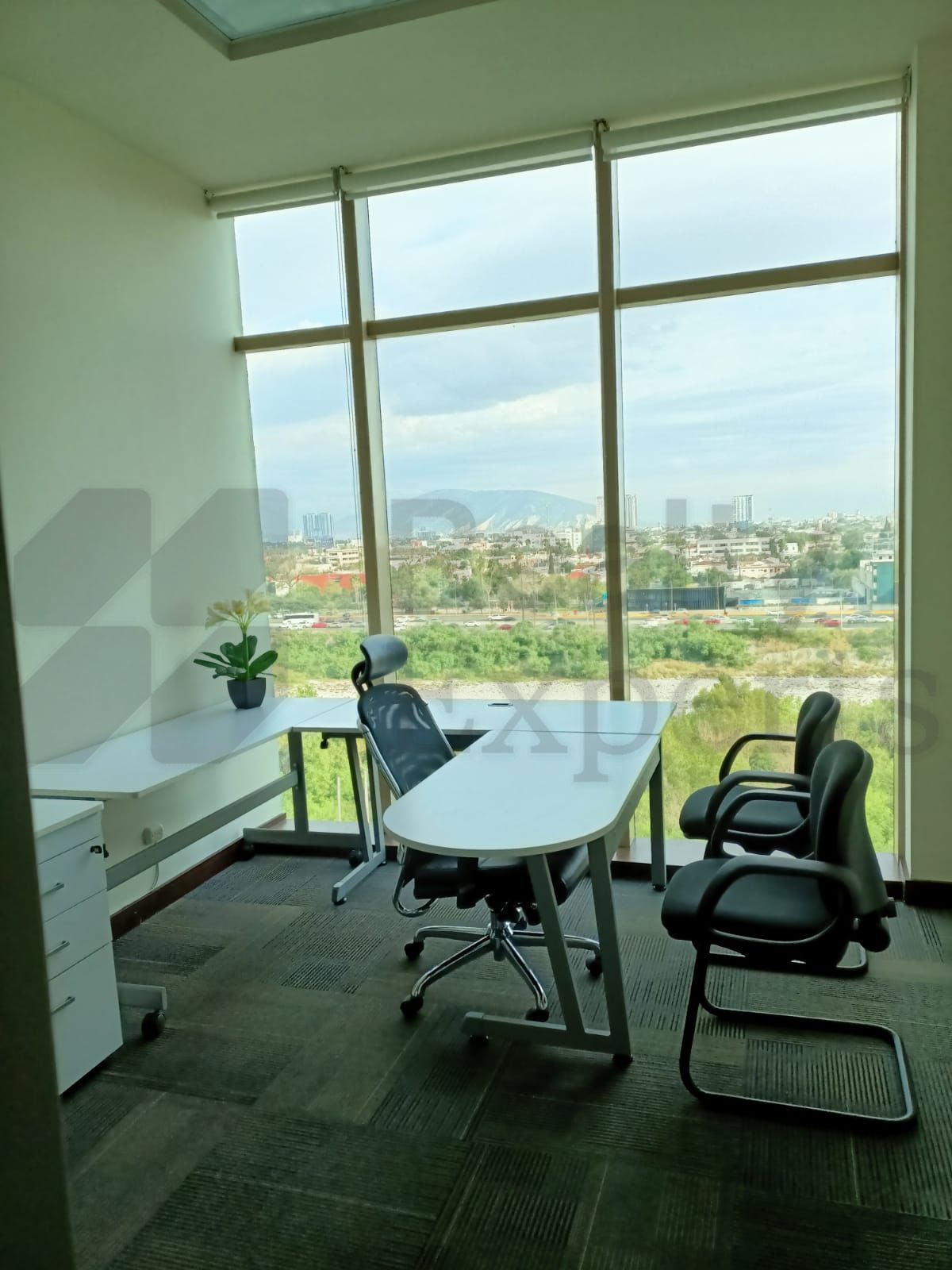 Oficina en Renta en Centro Convex