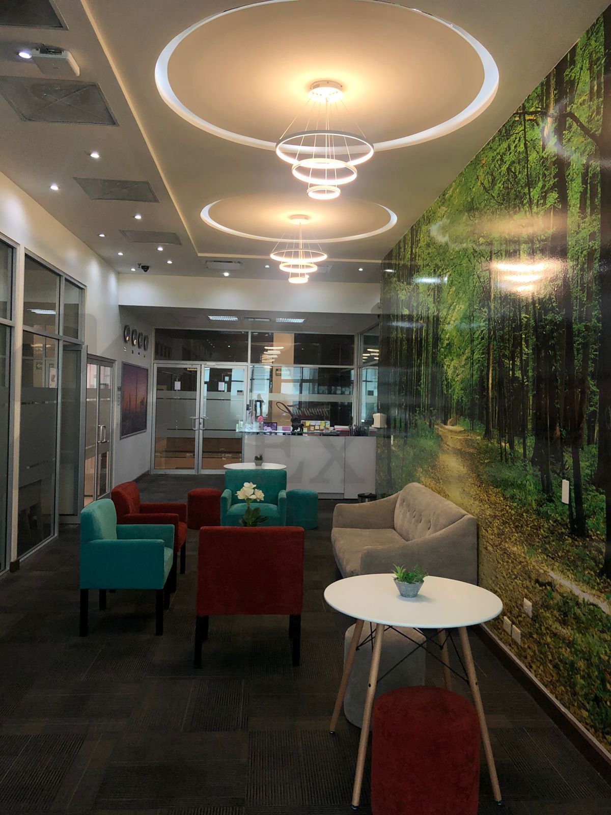 Oficina en Renta en Centro Convex