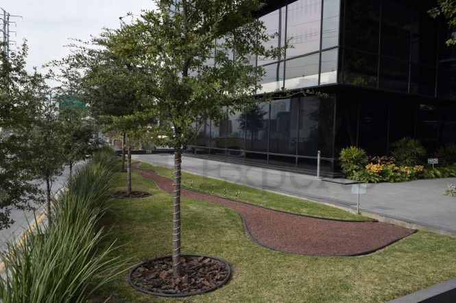 Oficina en Renta en Loma larga