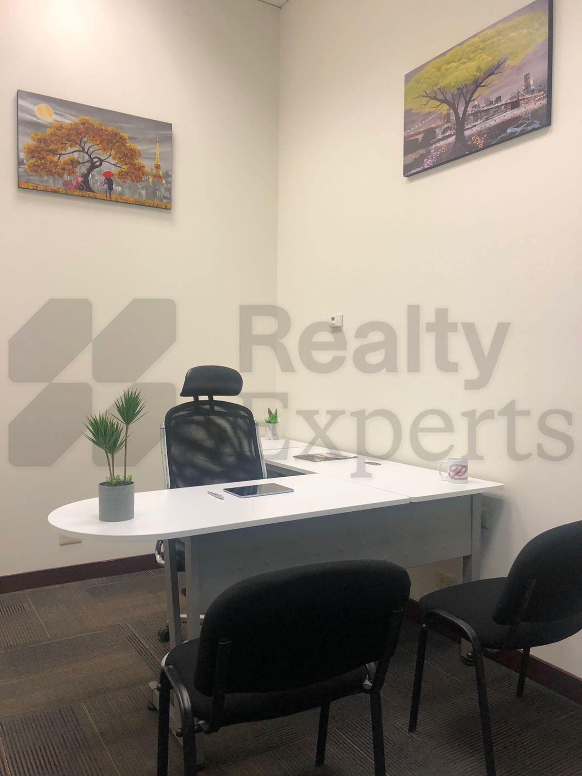 Oficina en Renta en Centro Convex