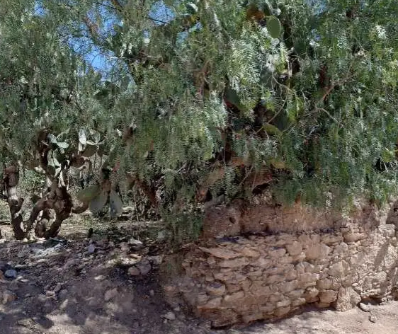 Terreno en Venta en Pozo Blanco