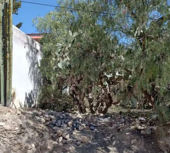 Terreno en Venta en Pozo Blanco