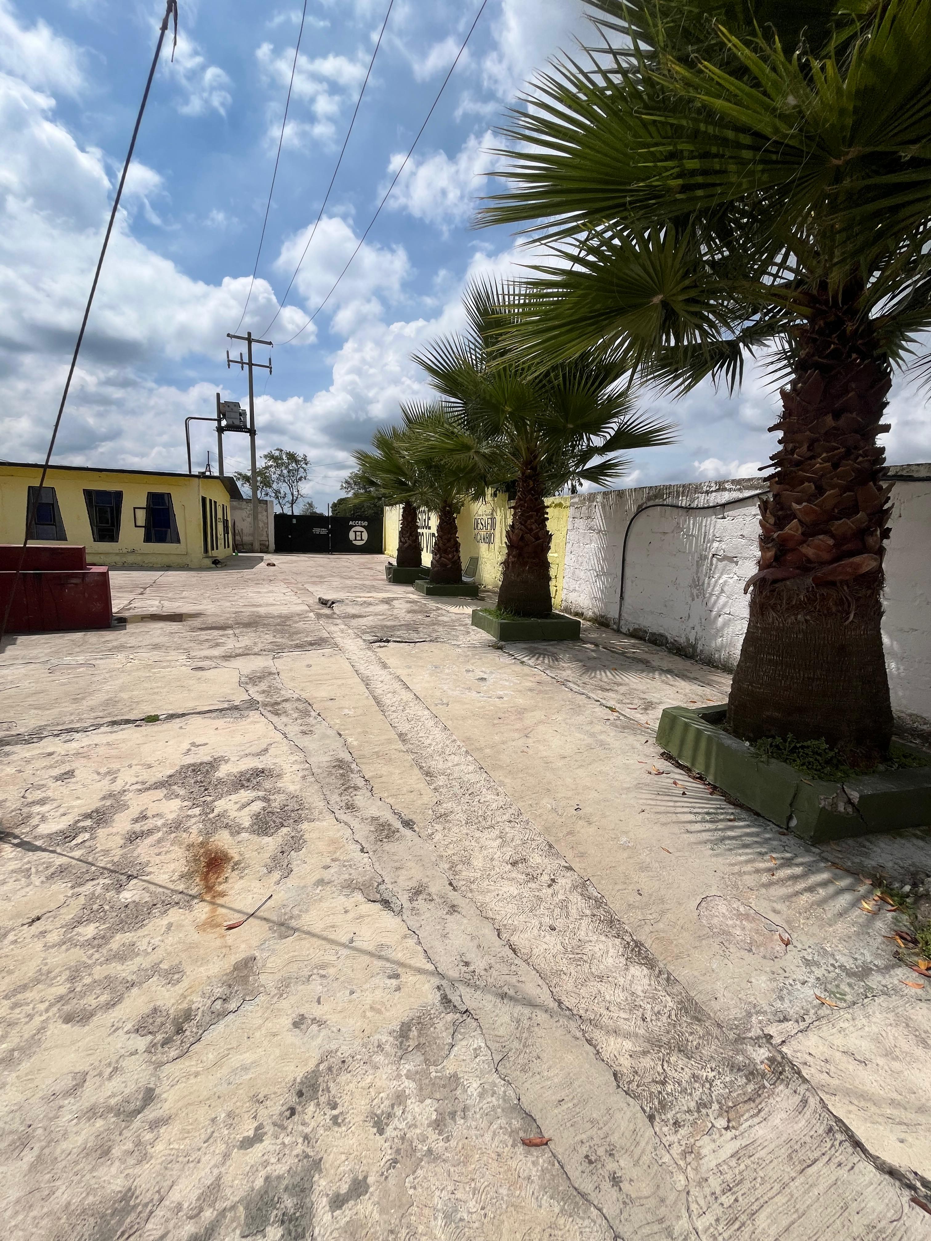 Bodega en Renta en Dexcani Bajo