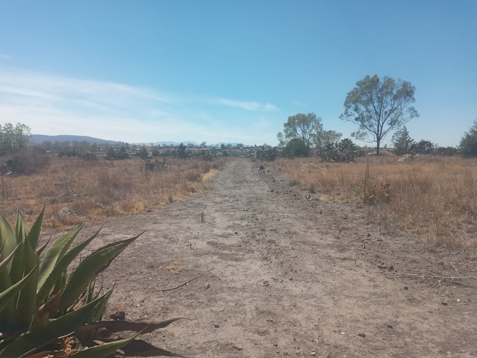 Rancho en Venta en San Juan Daxthi