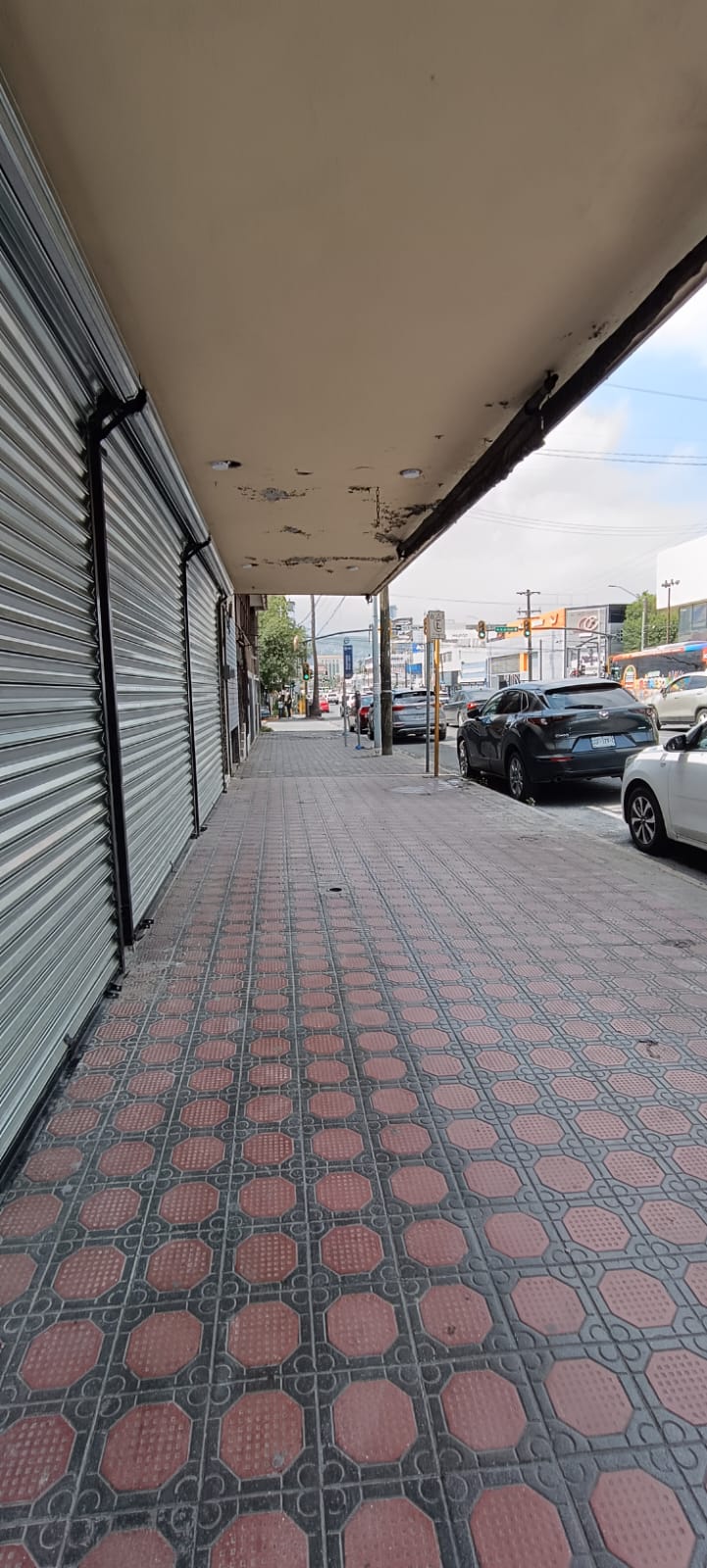 Local en Renta en Centro