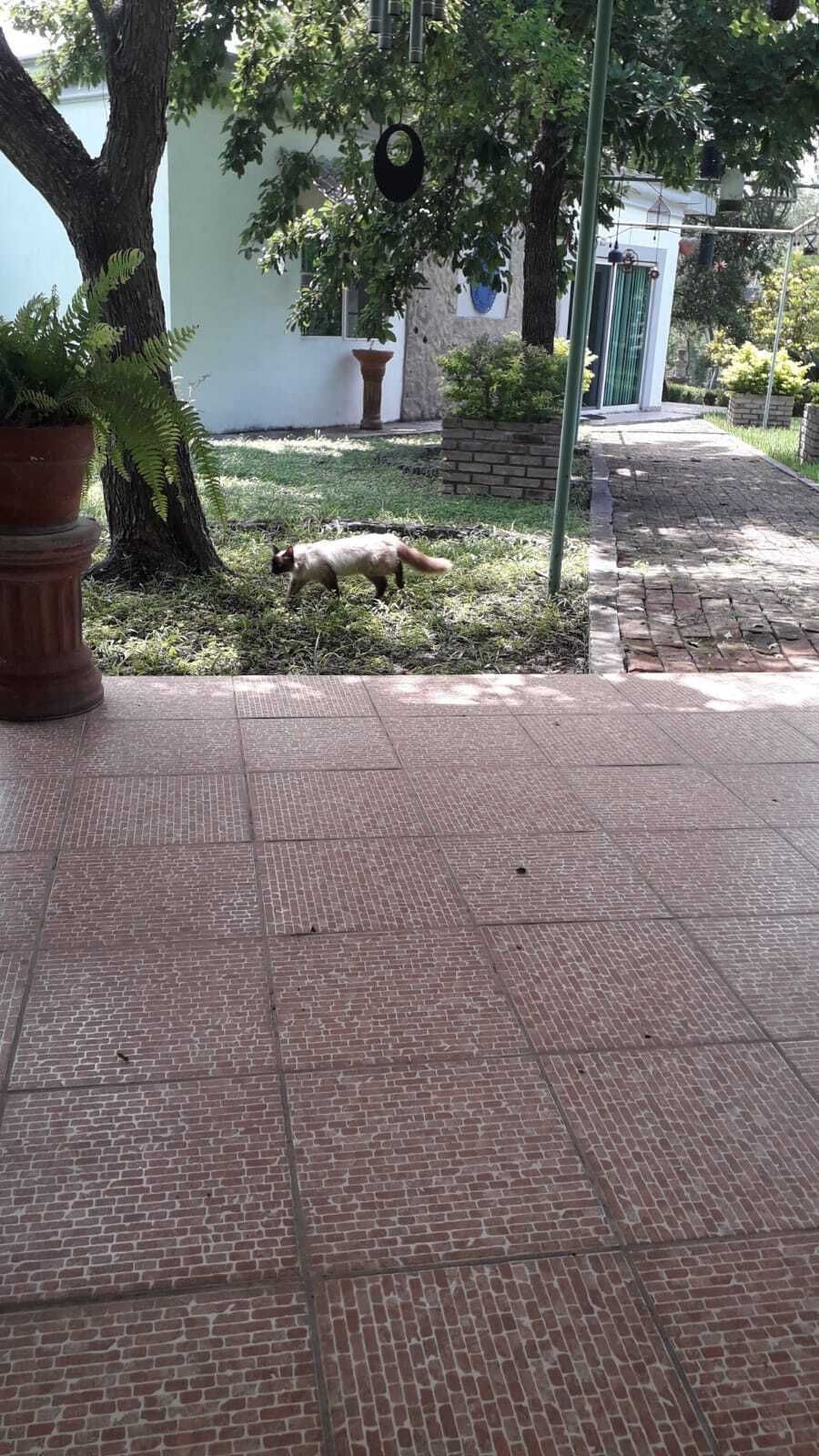 Quinta en Venta en El Pastor