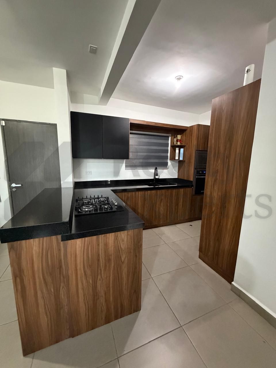 Departamento en Renta en living San Nicolas