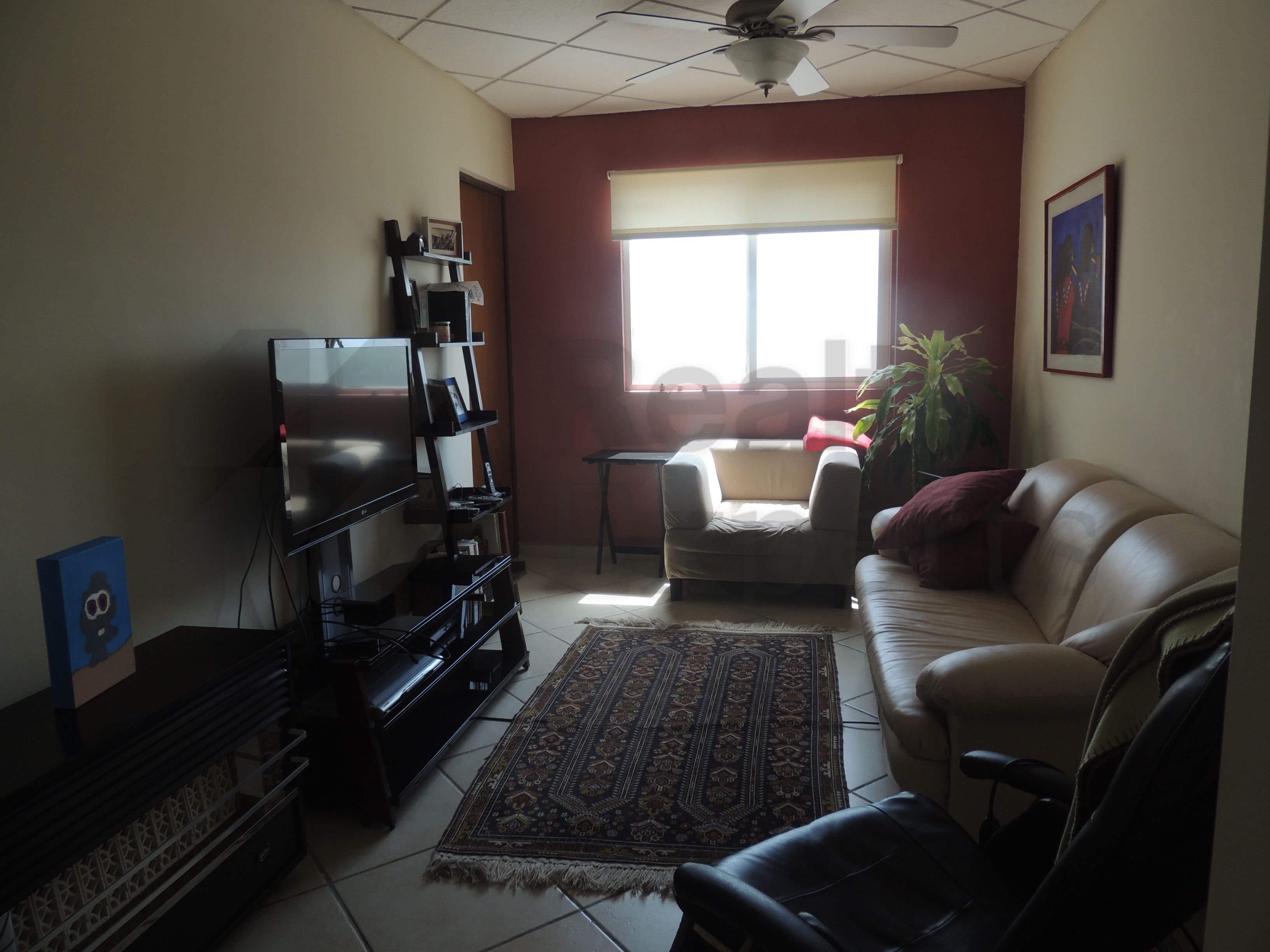 Departamento en Renta en San Pedro Garza Garcia Centro