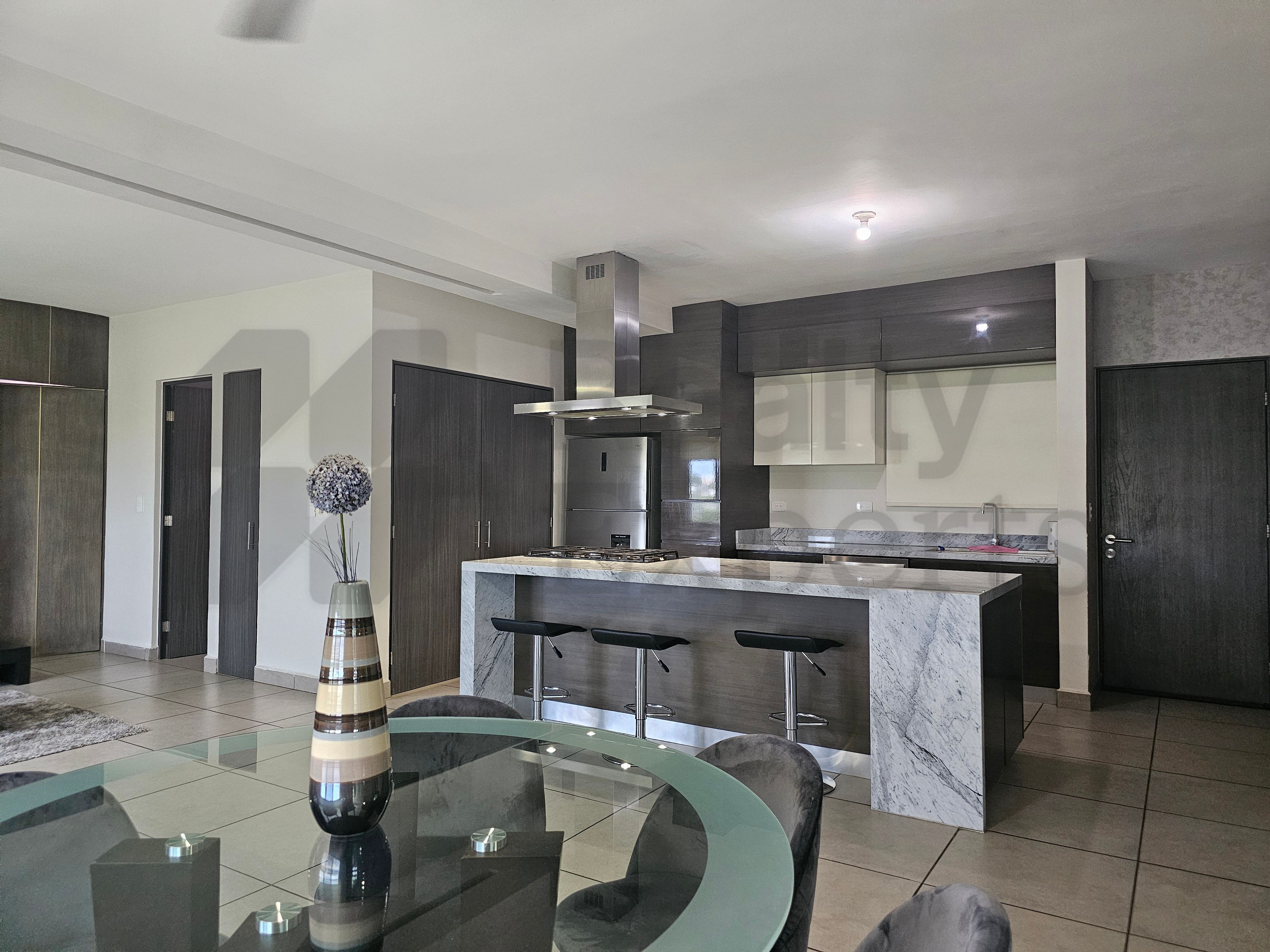 Departamento en Renta en Living San Nicolás