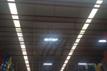 Bodega en Renta en Fierro