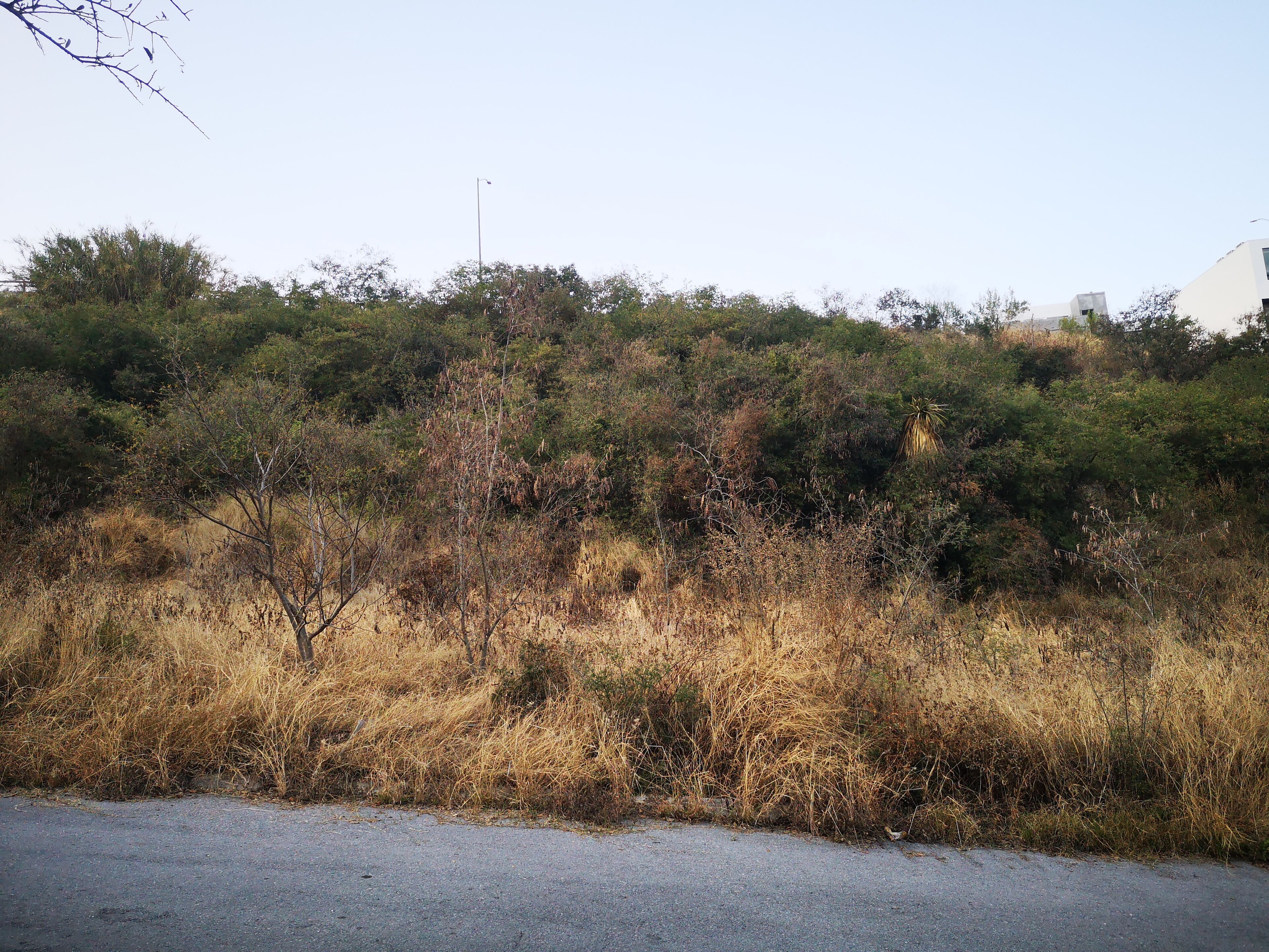 Terreno en Venta en Jardines de Valle Alto