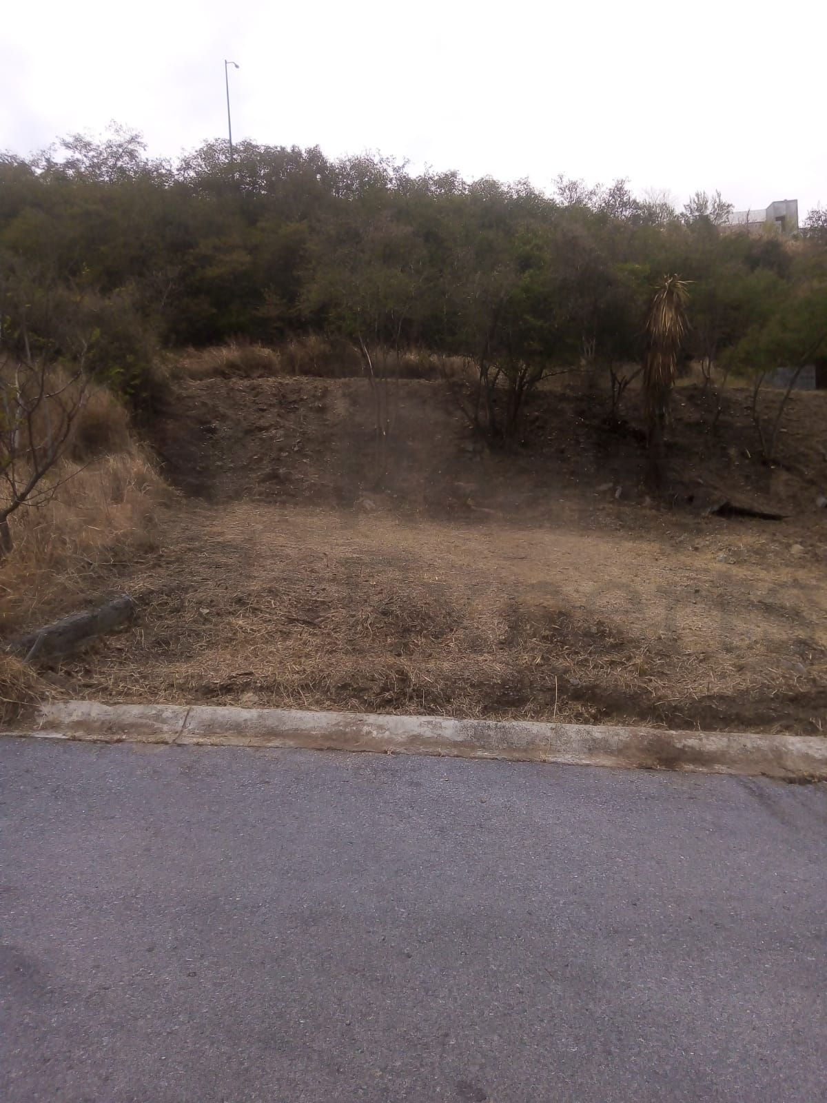 Terreno en Venta en Jardines de Valle Alto
