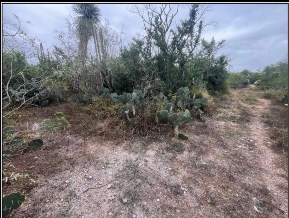 Terreno en Venta en Camino a los Gutiérrez