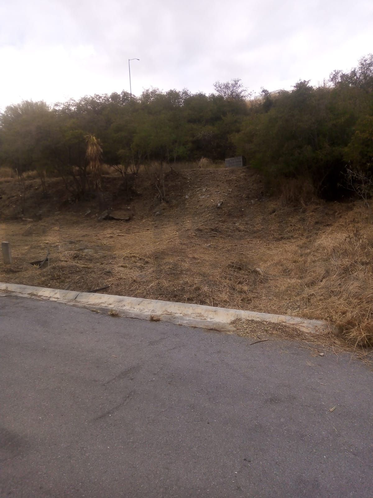 Terreno en Venta en Jardines de Valle Alto