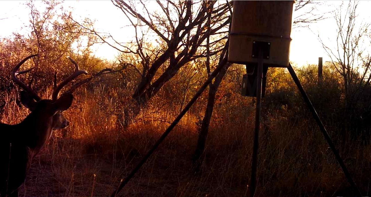 Terreno en Venta en Larraldeña