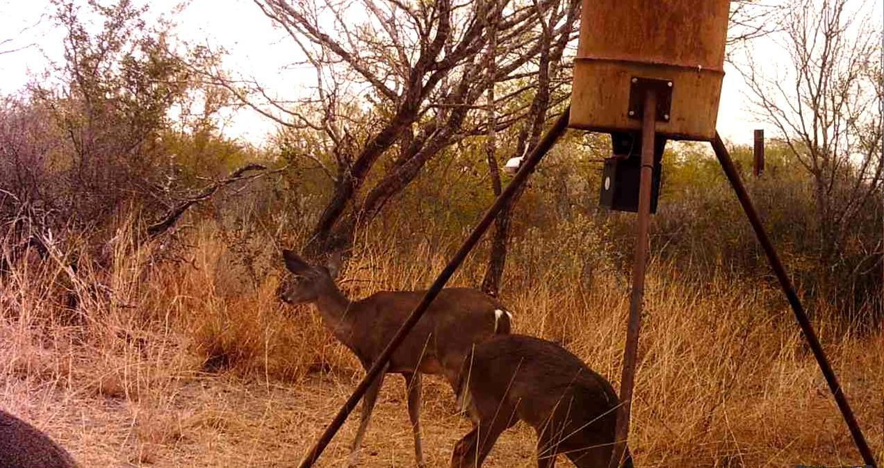 Terreno en Venta en Larraldeña