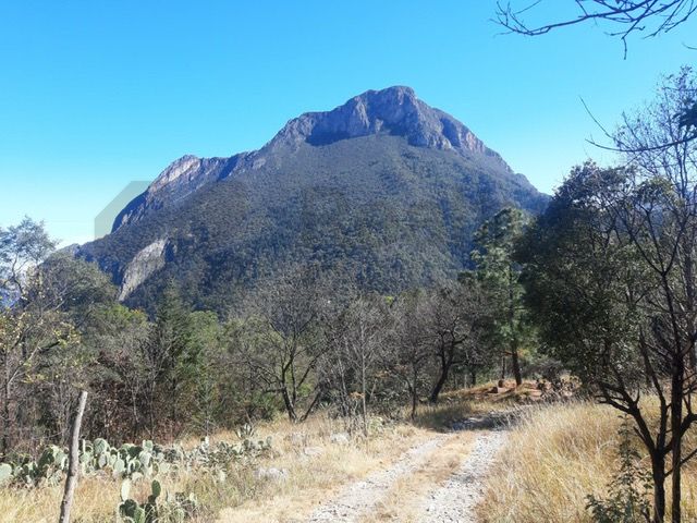 Quinta en Venta en Laguna de Sánchez