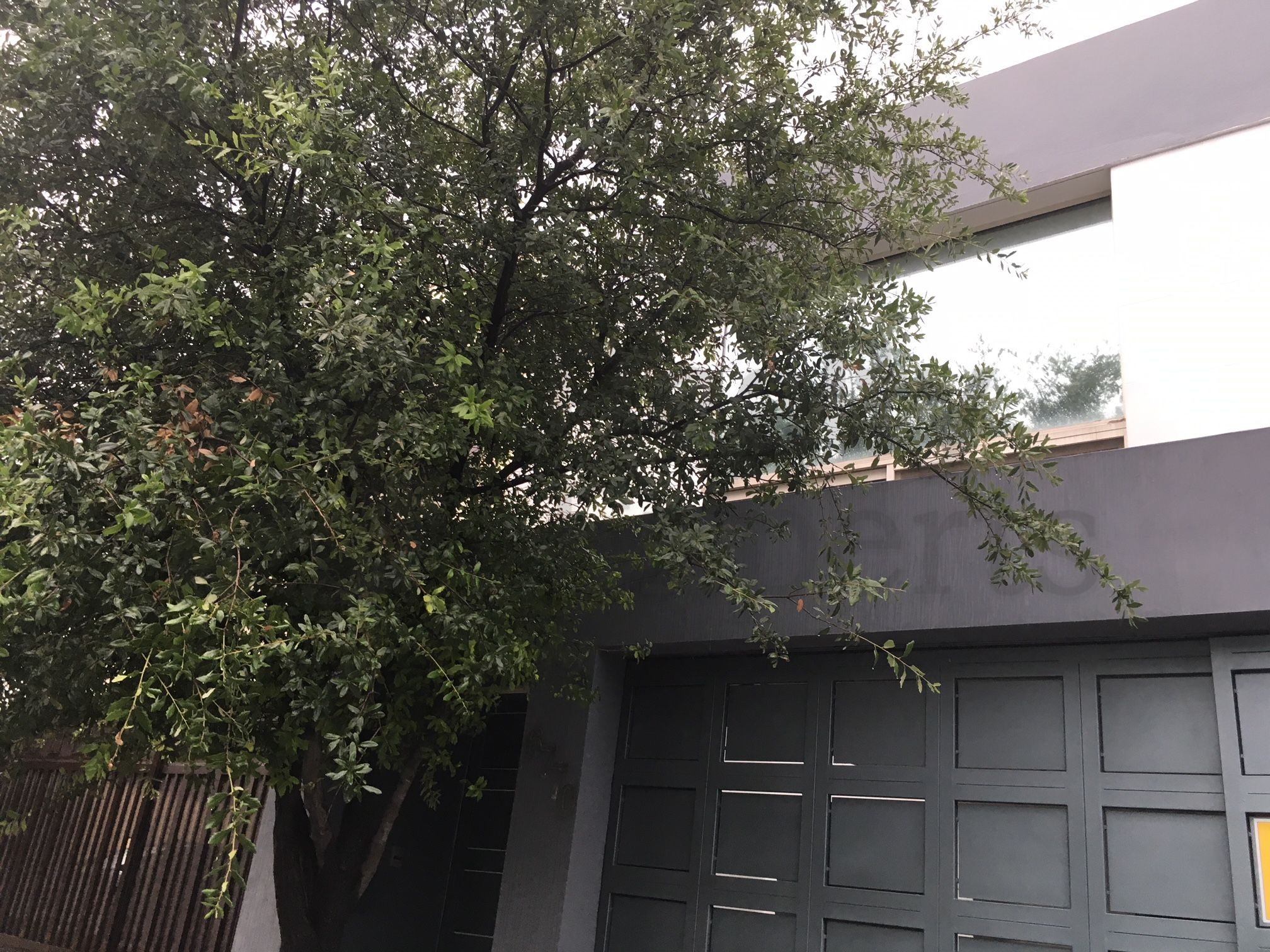 Casa en Venta en Cumbres Santa Clara